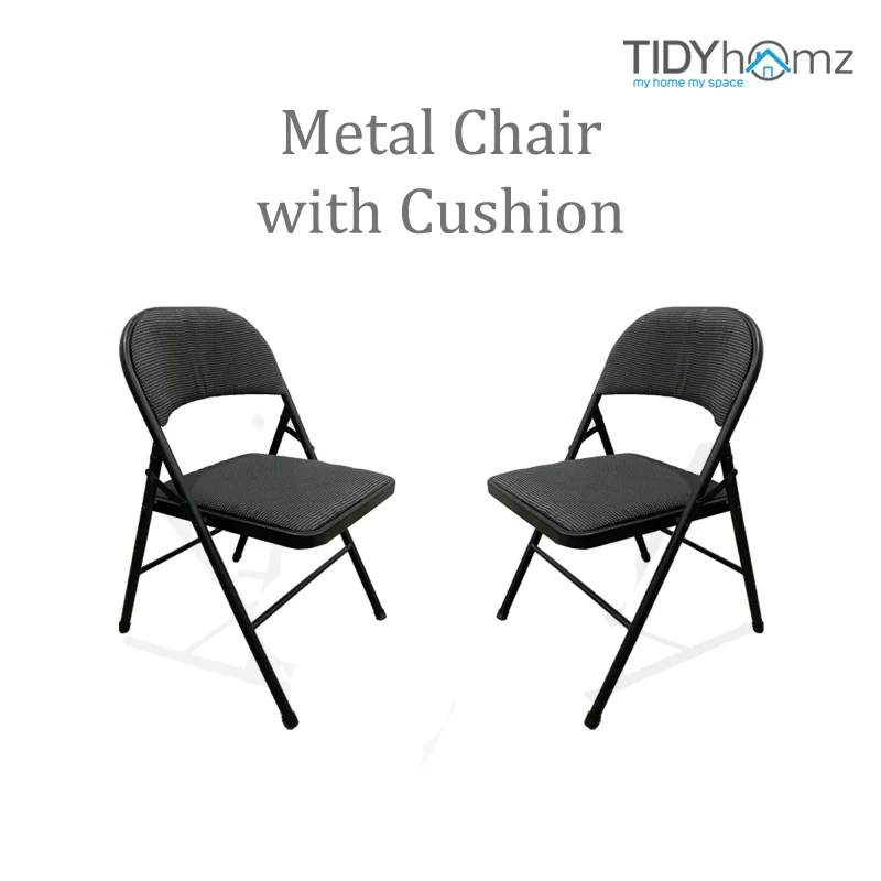 Linth Metal Chair with Cushion (Set of 2)